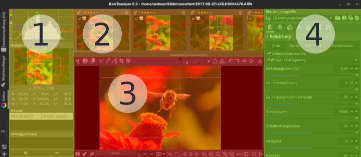 Die vier Arbeitsbereiche des RawTherapee-Editors